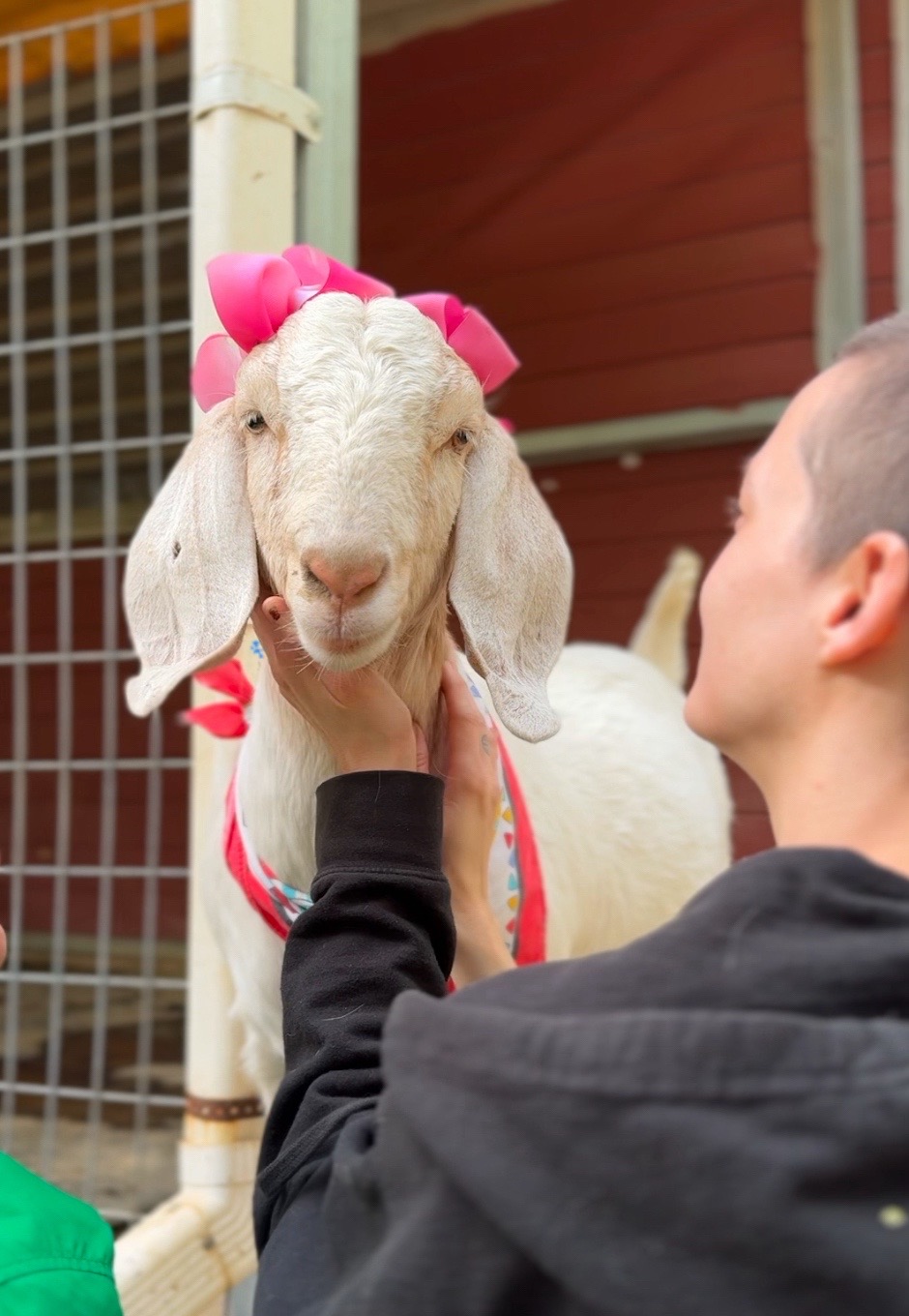 @The Gentle Barn | Sanctuary