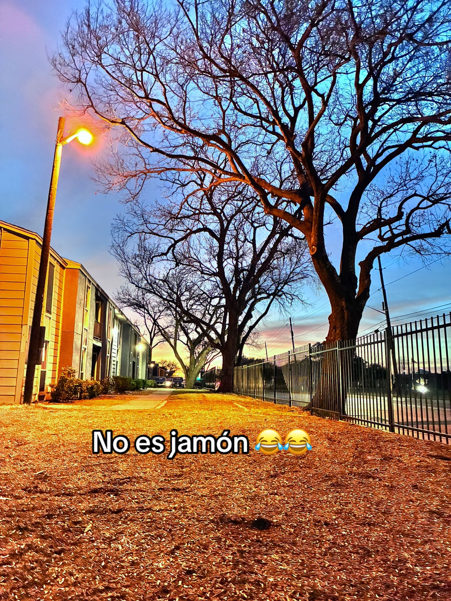 @Byron Ch