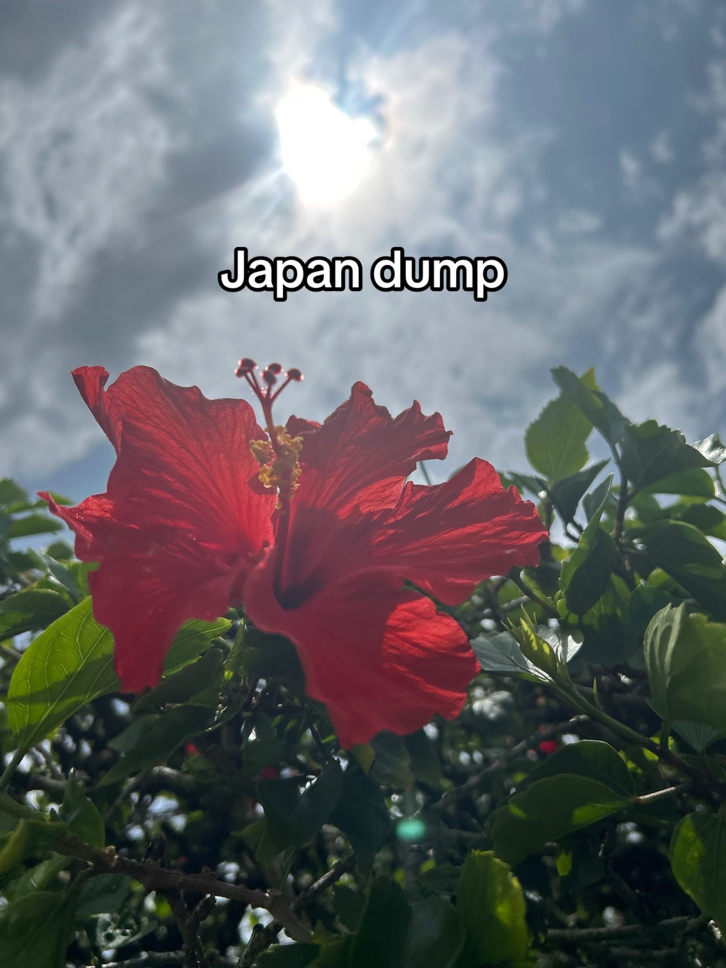 @𝔂𝓸𝓢𝓣𝓐𝓑𝓛𝓔