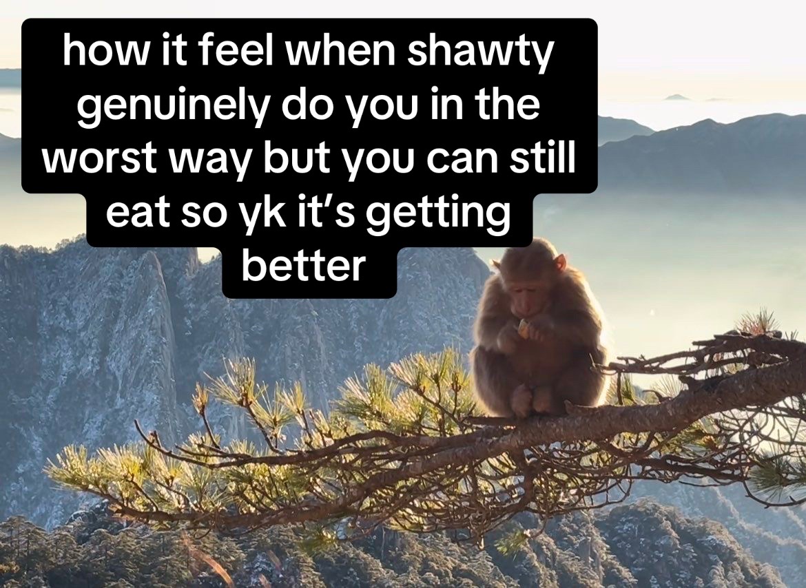 @realest