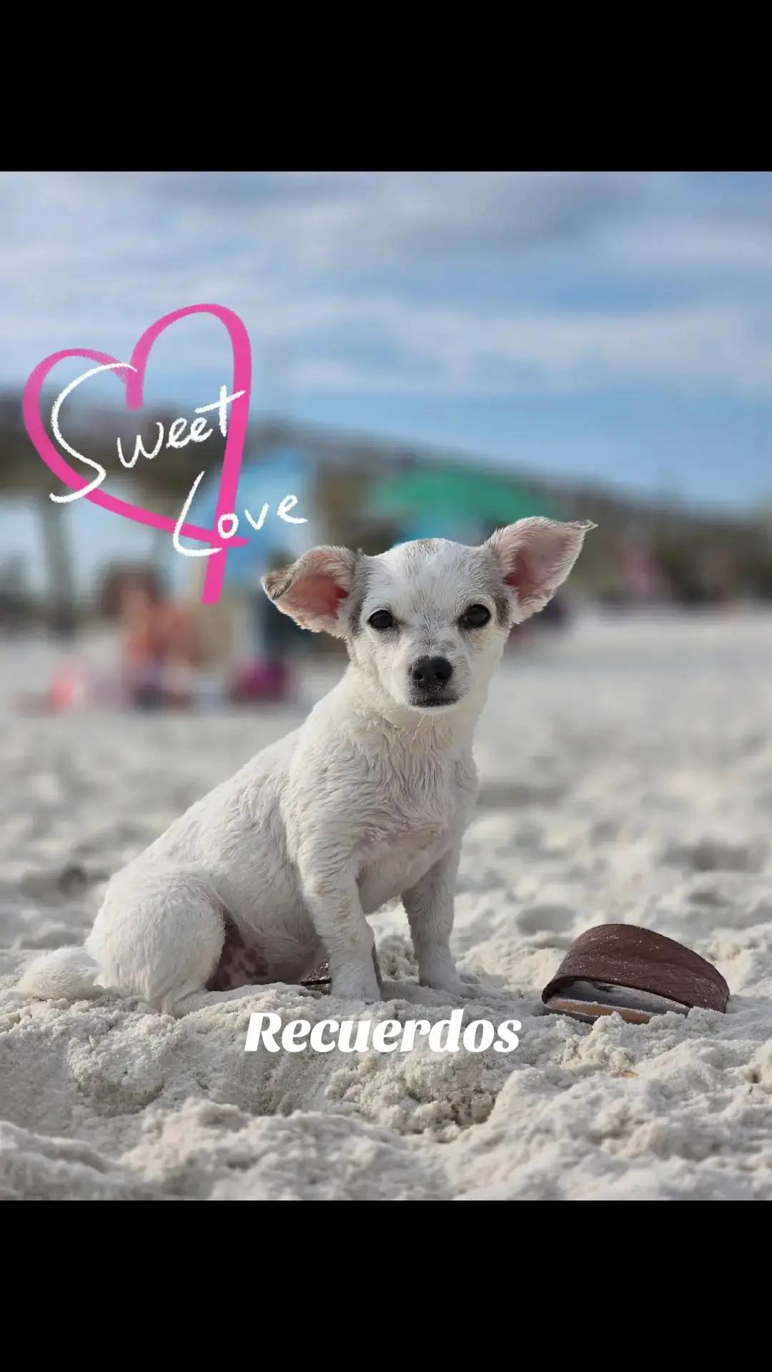 @JuliaLeon/ MarketingDigital
