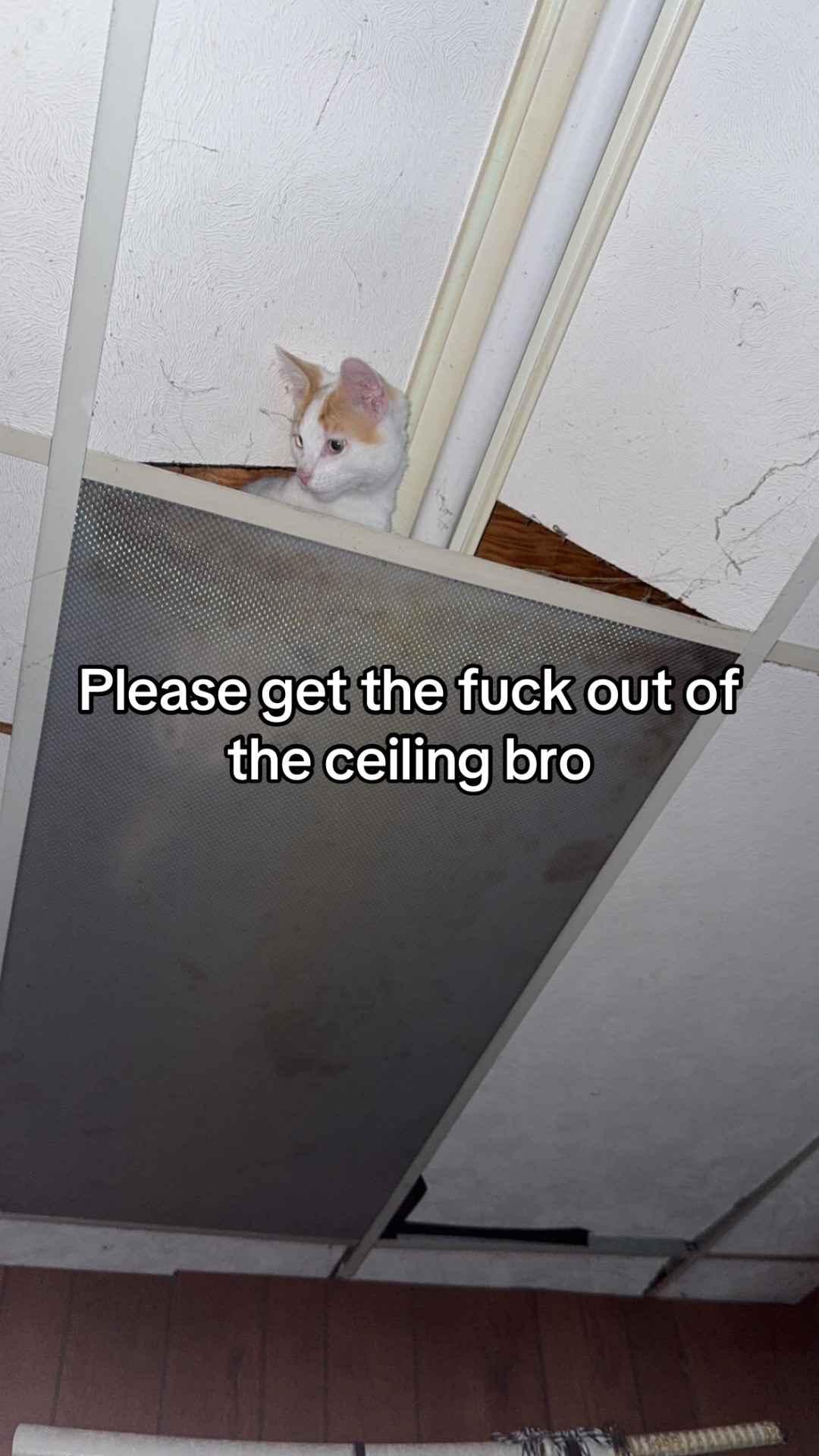 @Rami