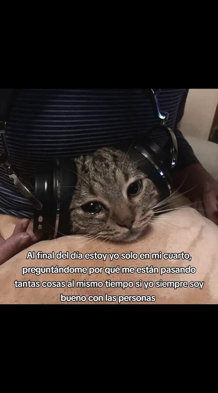 @Leoncio🗣️