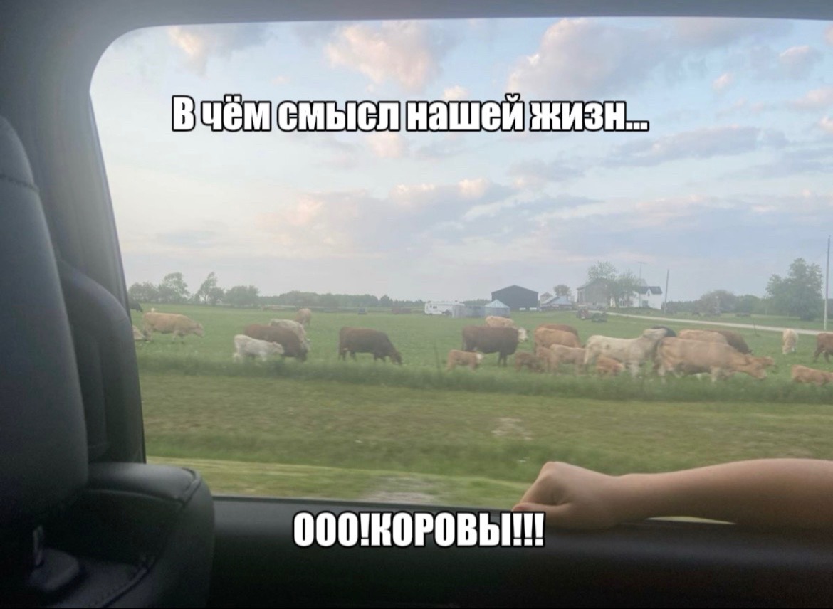 @похоть