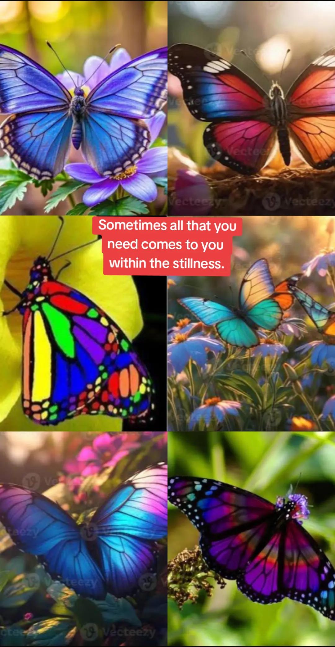 @Elevated Soul Network