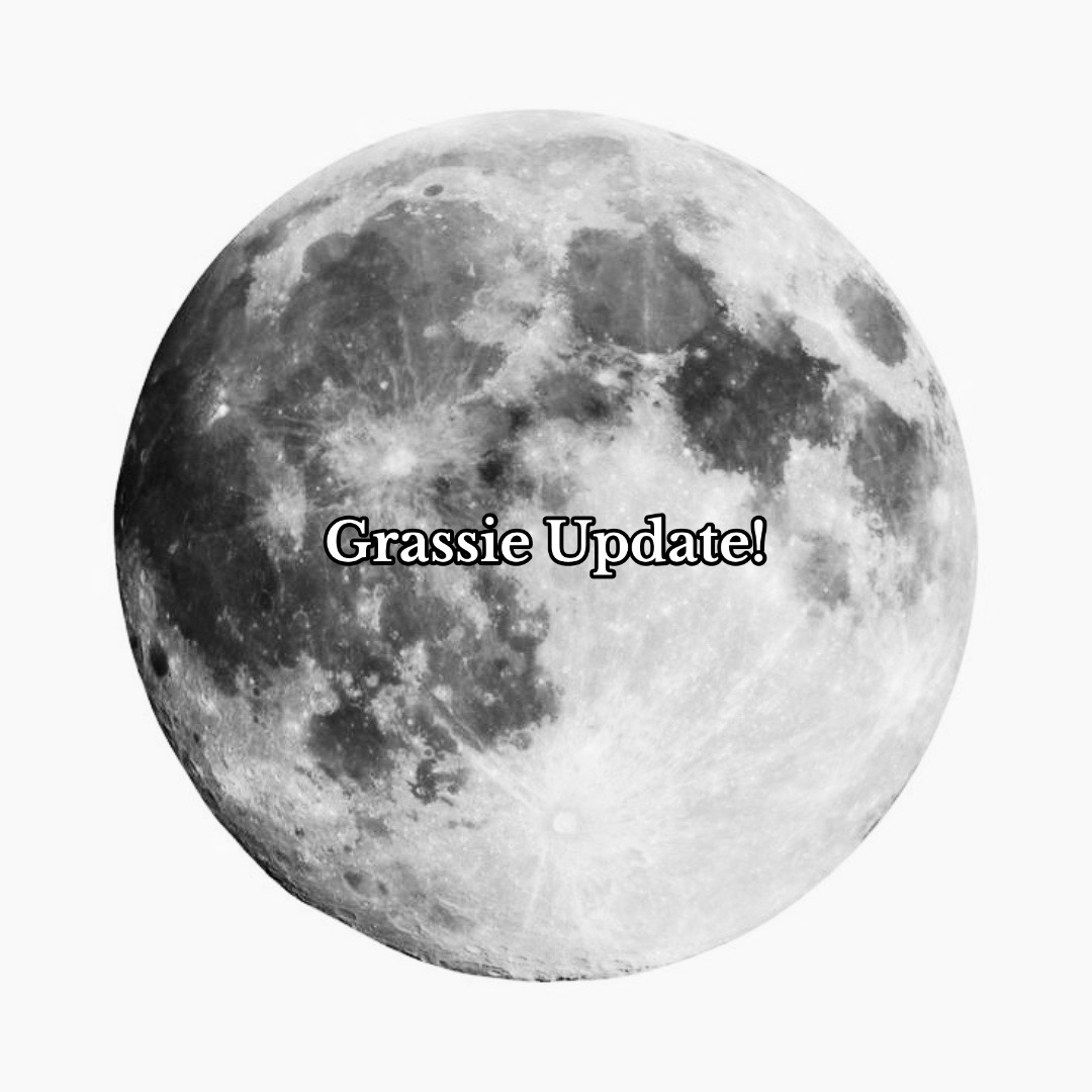 @grassiecore | ❏