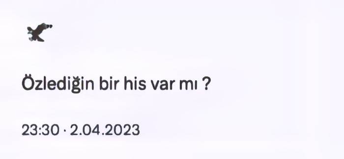 @Gizem