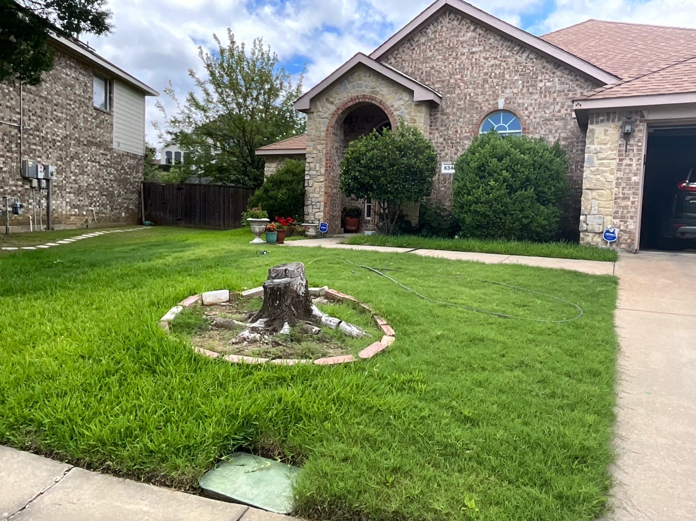 @Live Oak Tree Service