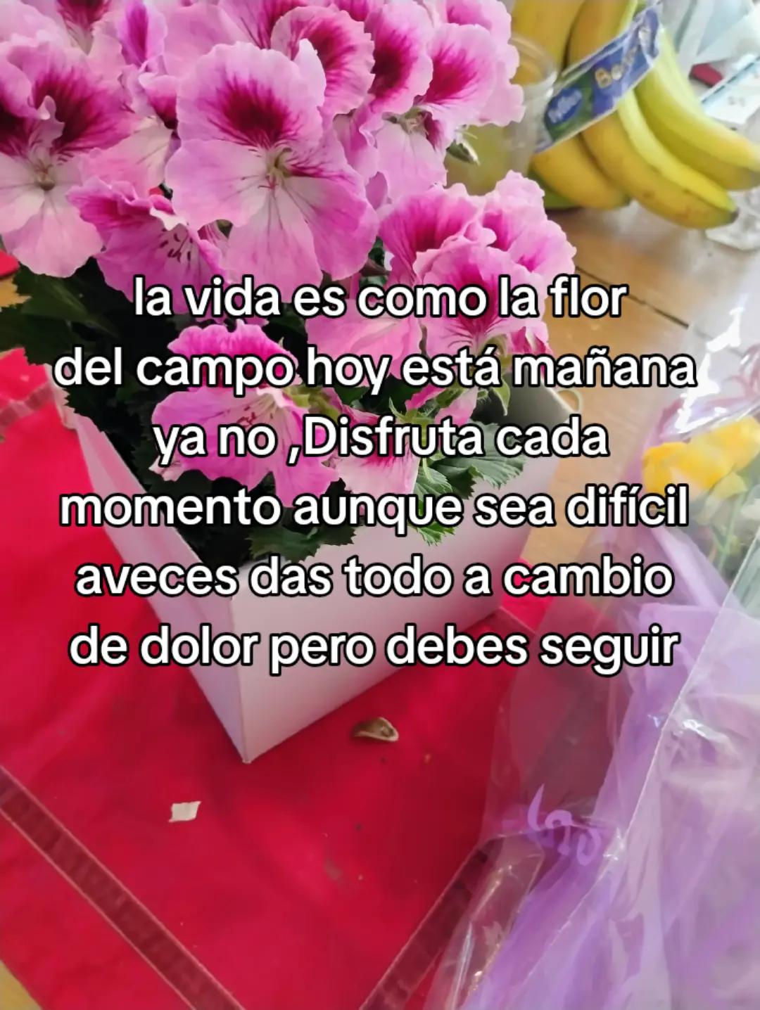 @martita