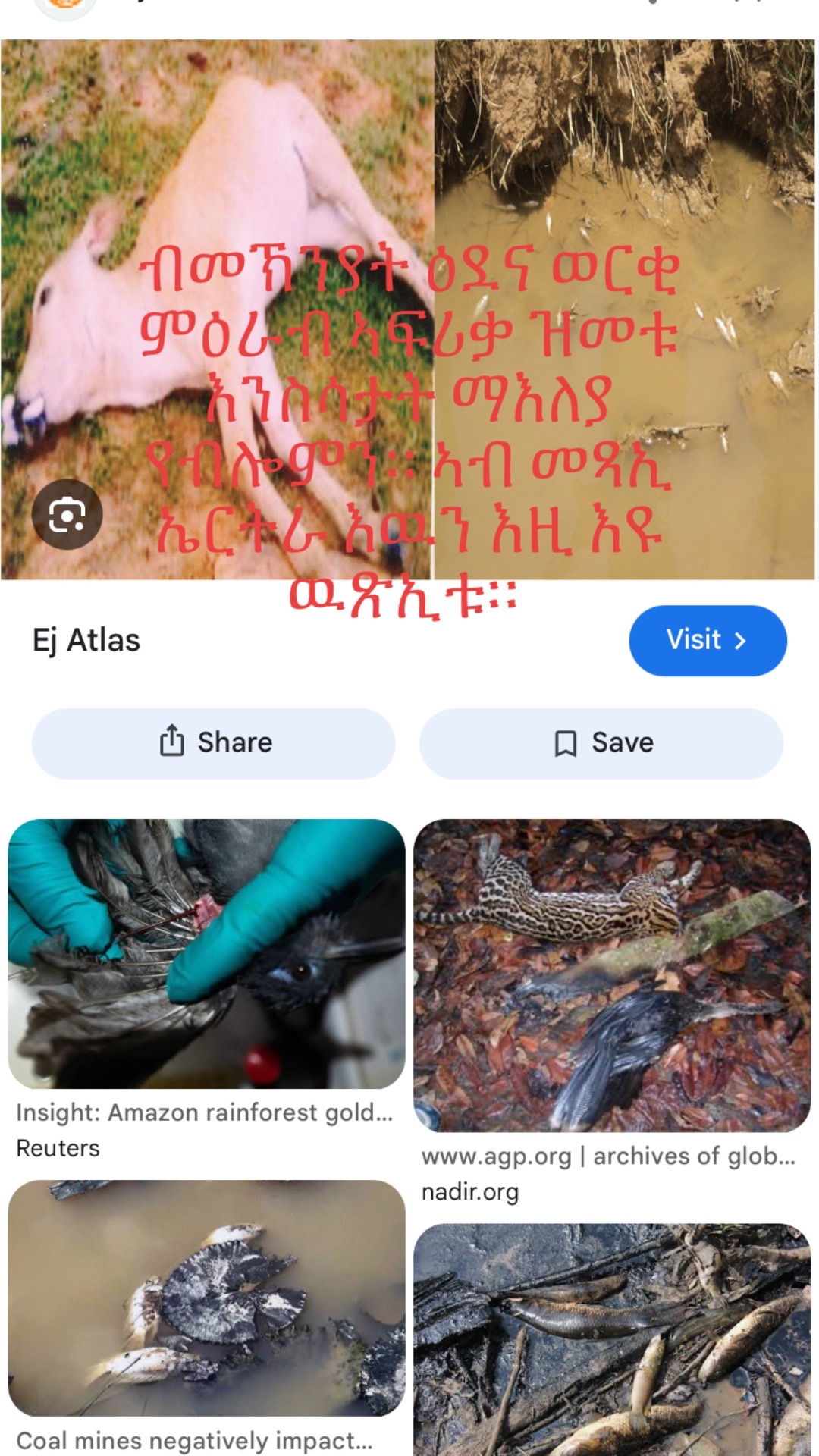 @ዉላድ ወዲ ሓምቢር