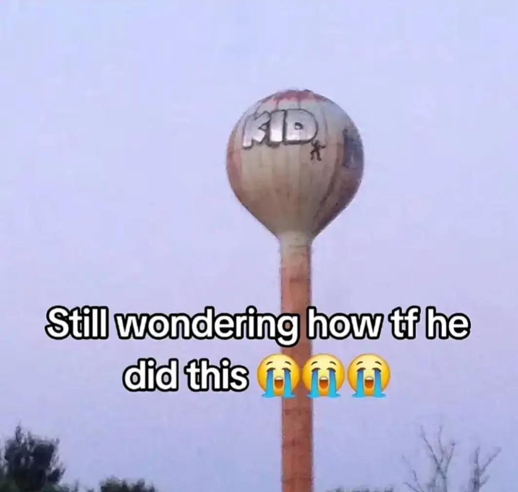 @mylktheory