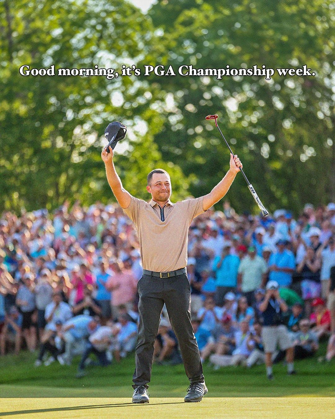 @Dear Golf