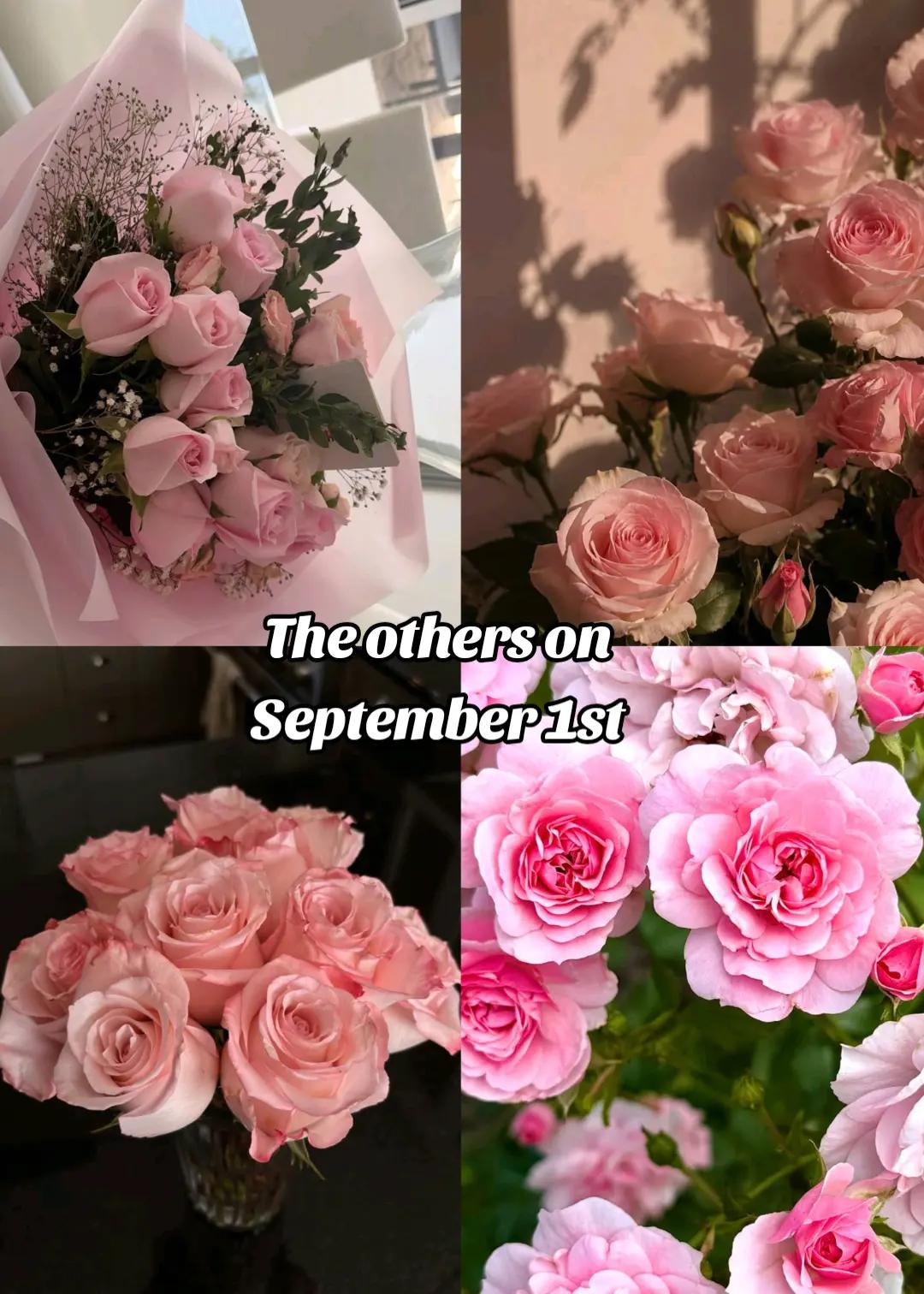 @°•°☆♡🌸♱ꨄ𝑨𝒏𝒏𝒂⁷ꨄ︎♱🌸♡☆°•°