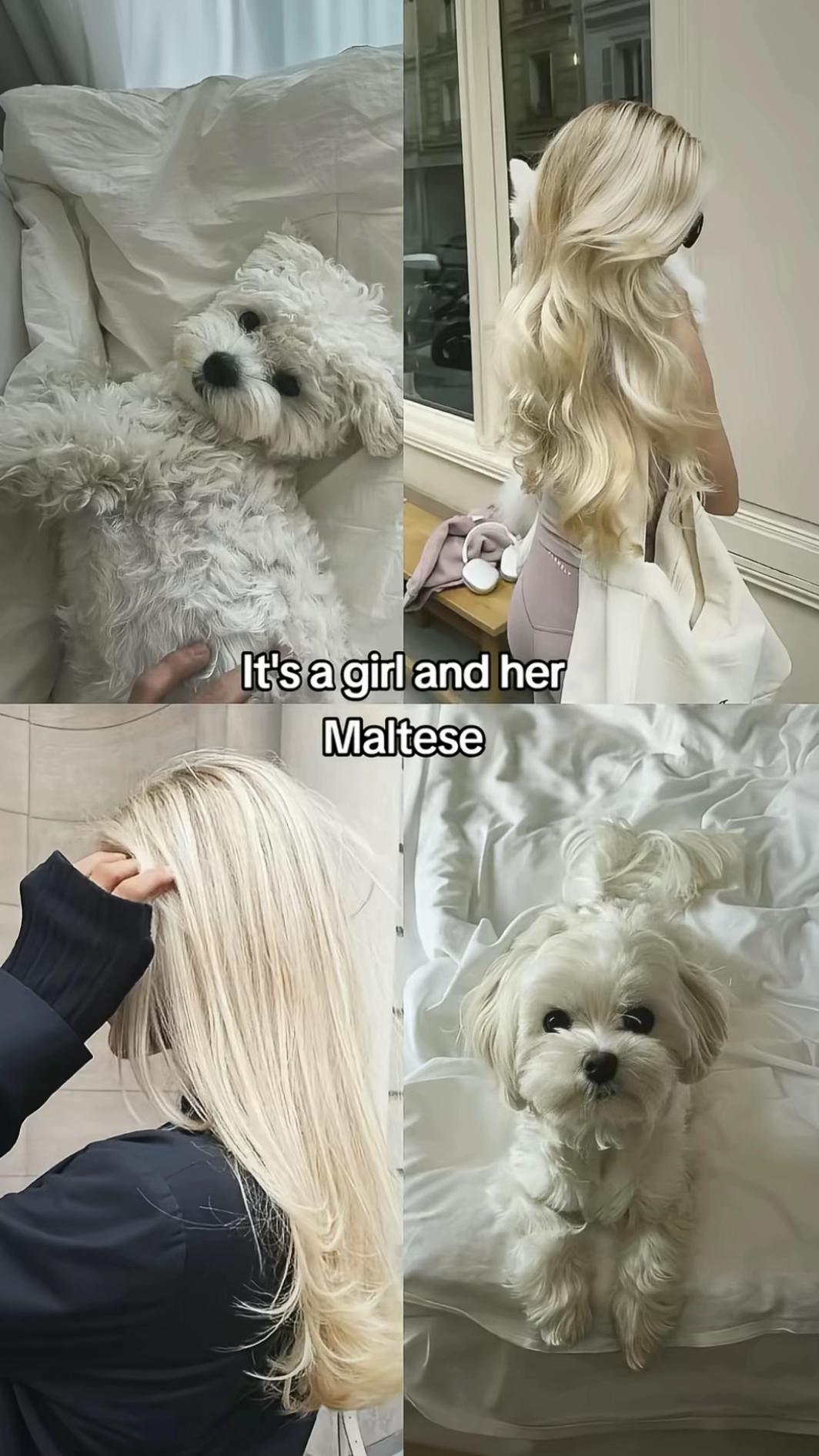 @𝓙𝓸𝓼𝓮𝓯𝓲𝓷🪽