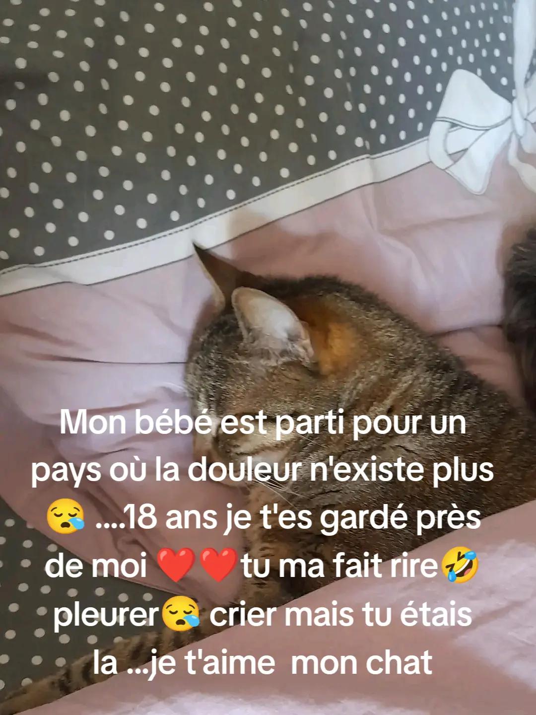 @bernard sarlande