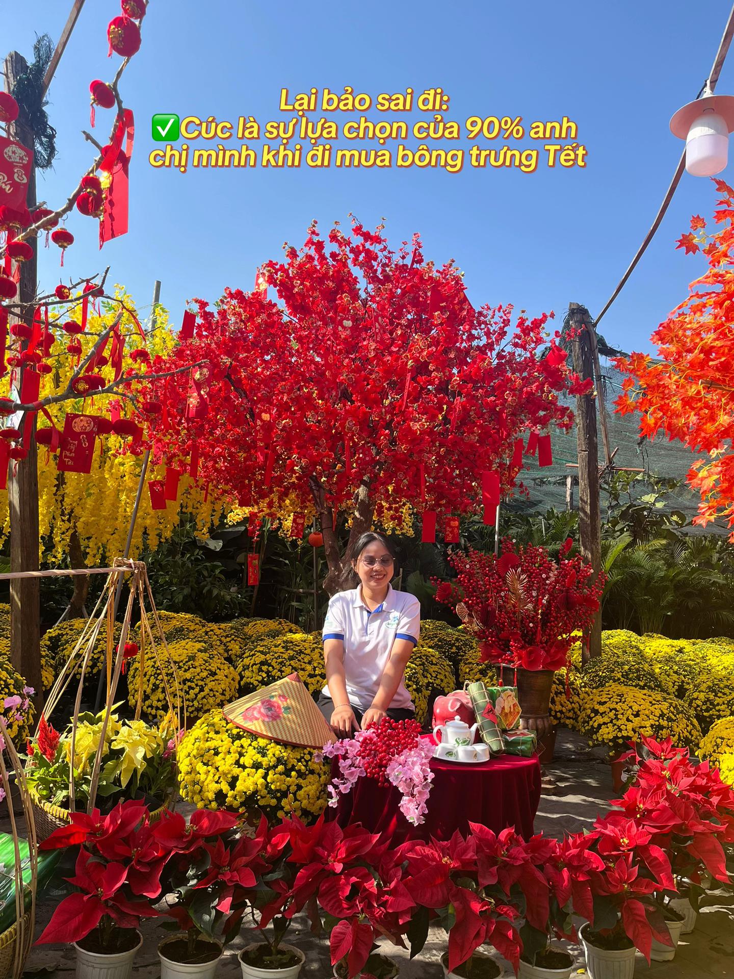 @S&agrave;i G&ograve;n Hoa