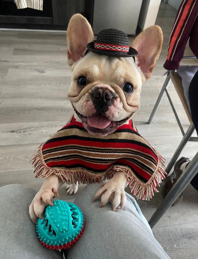 @Lady johanna Rodriguez