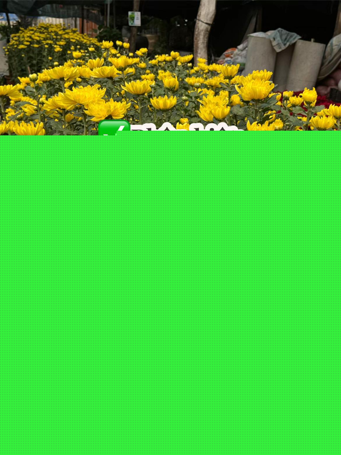 @S&agrave;i G&ograve;n Hoa