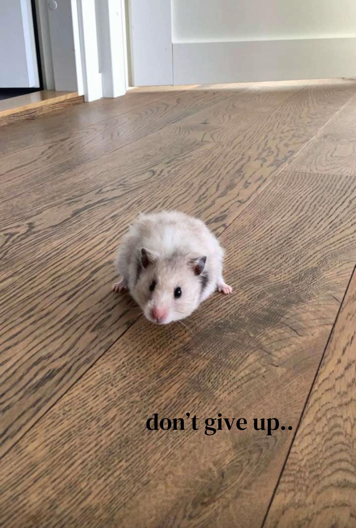 @𝓞𝓵𝓲𝓿𝓲𝓪💞