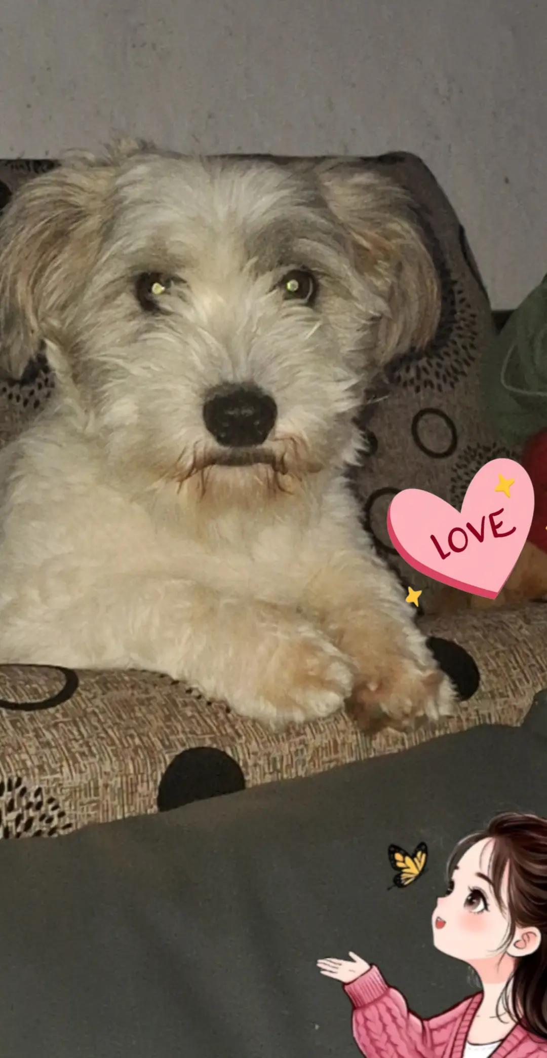 @Mereuță Teodora!♡♡♡♡♡♡♡