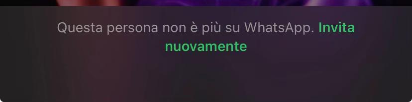 @lisa