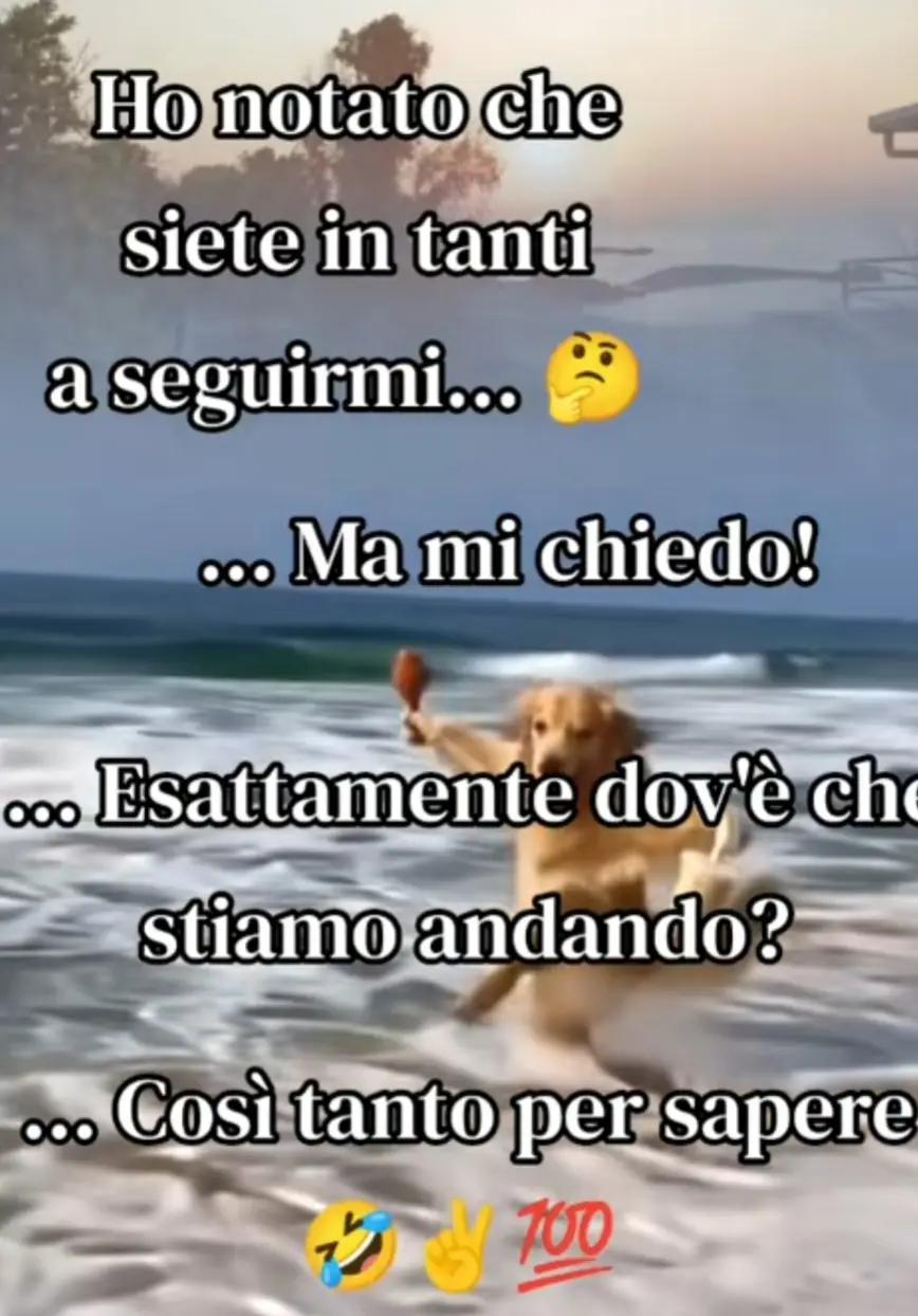 @Mariana Lungu