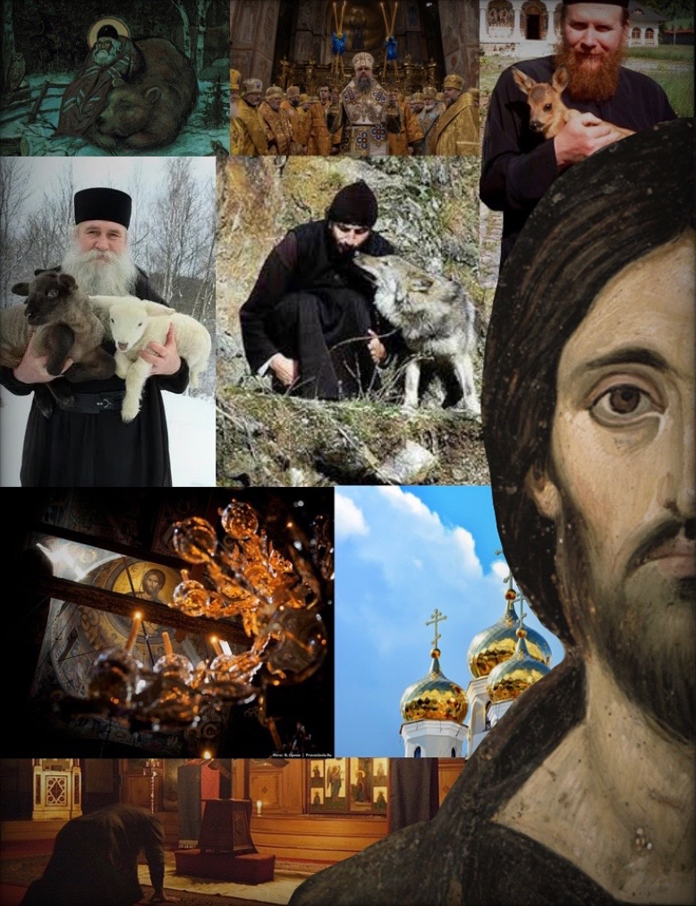 @Orthodox Swiss
