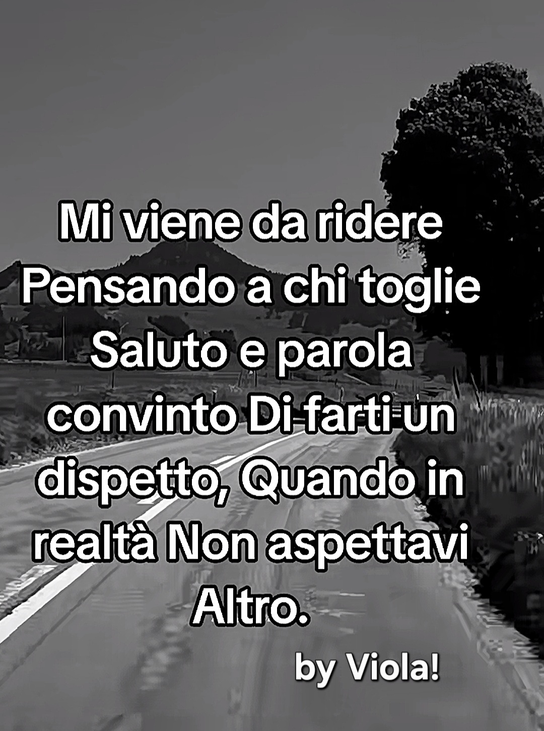 @Viola 8080