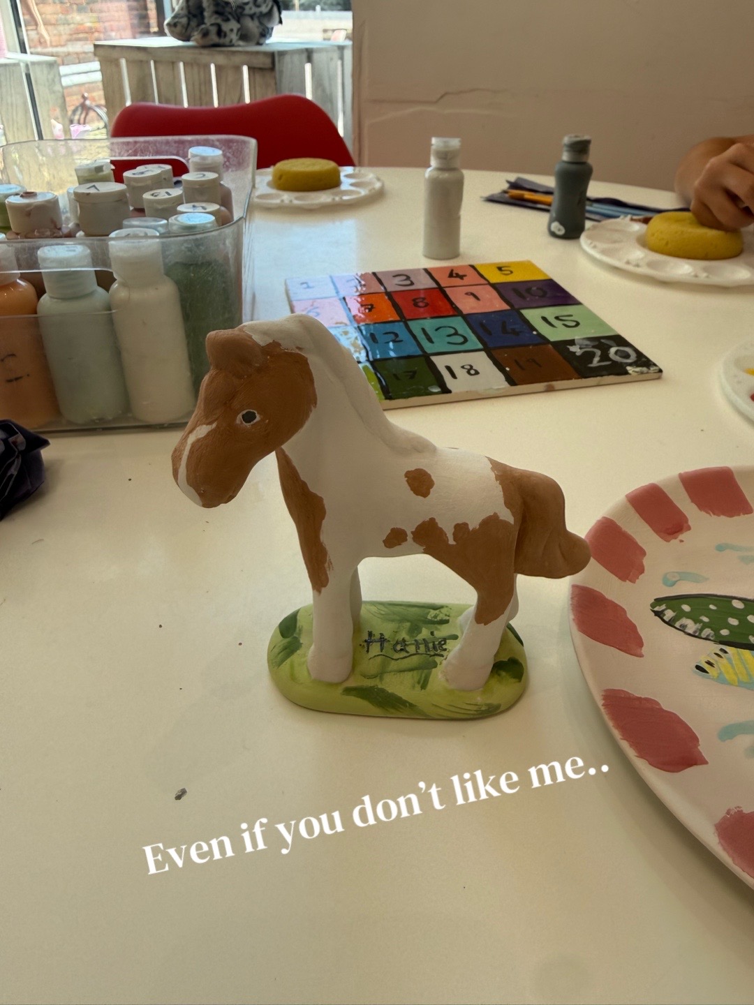 @LottiesHorseAdventures🦄🐴