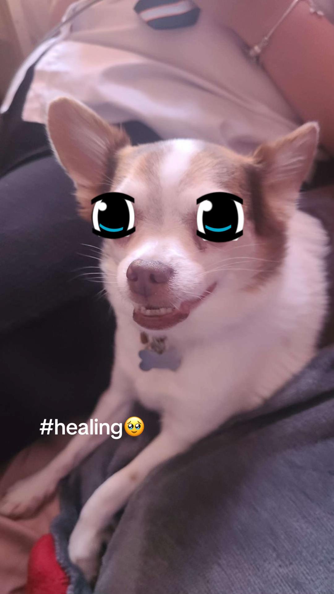 @mileymoo.