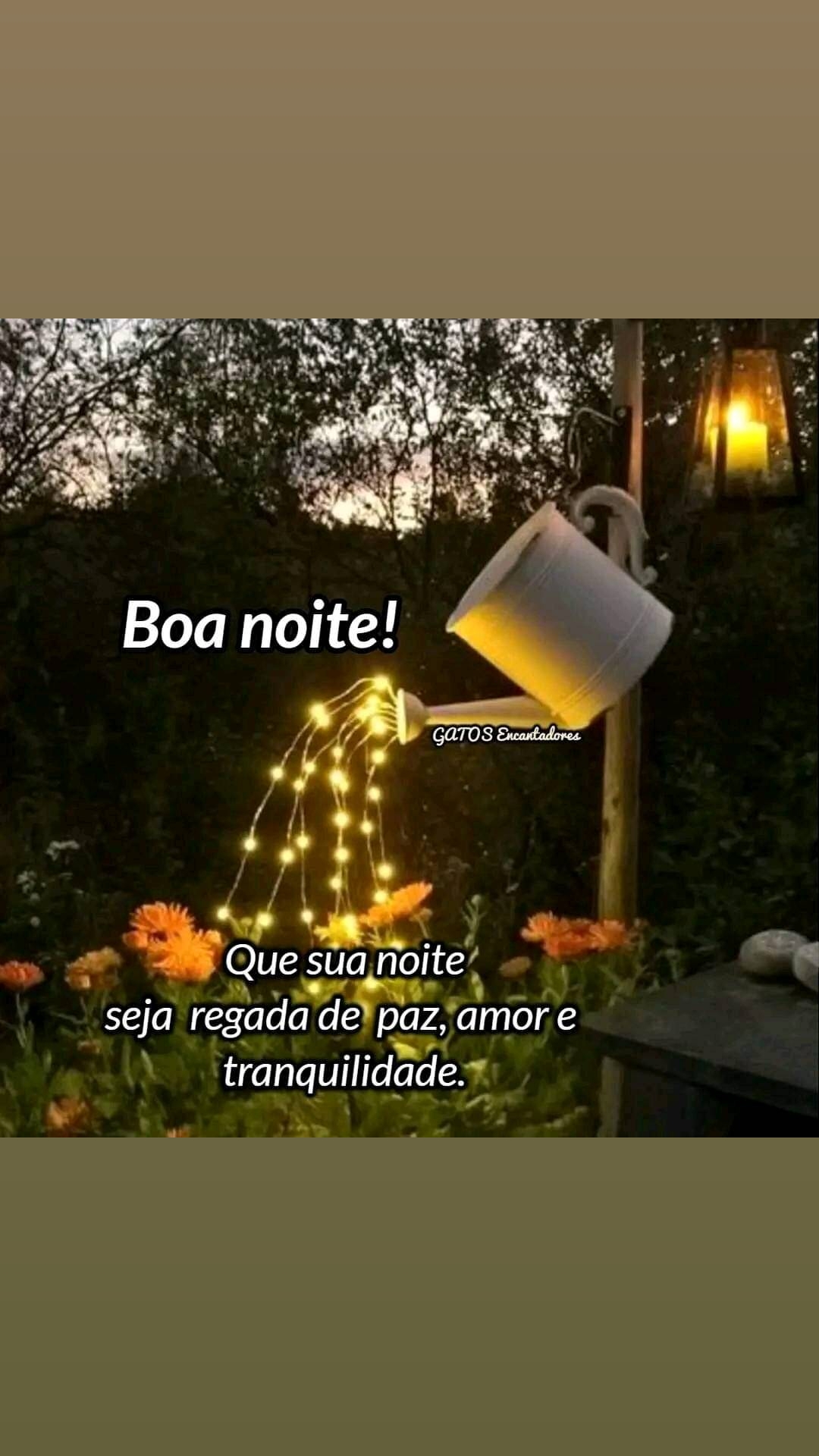 @Daiana