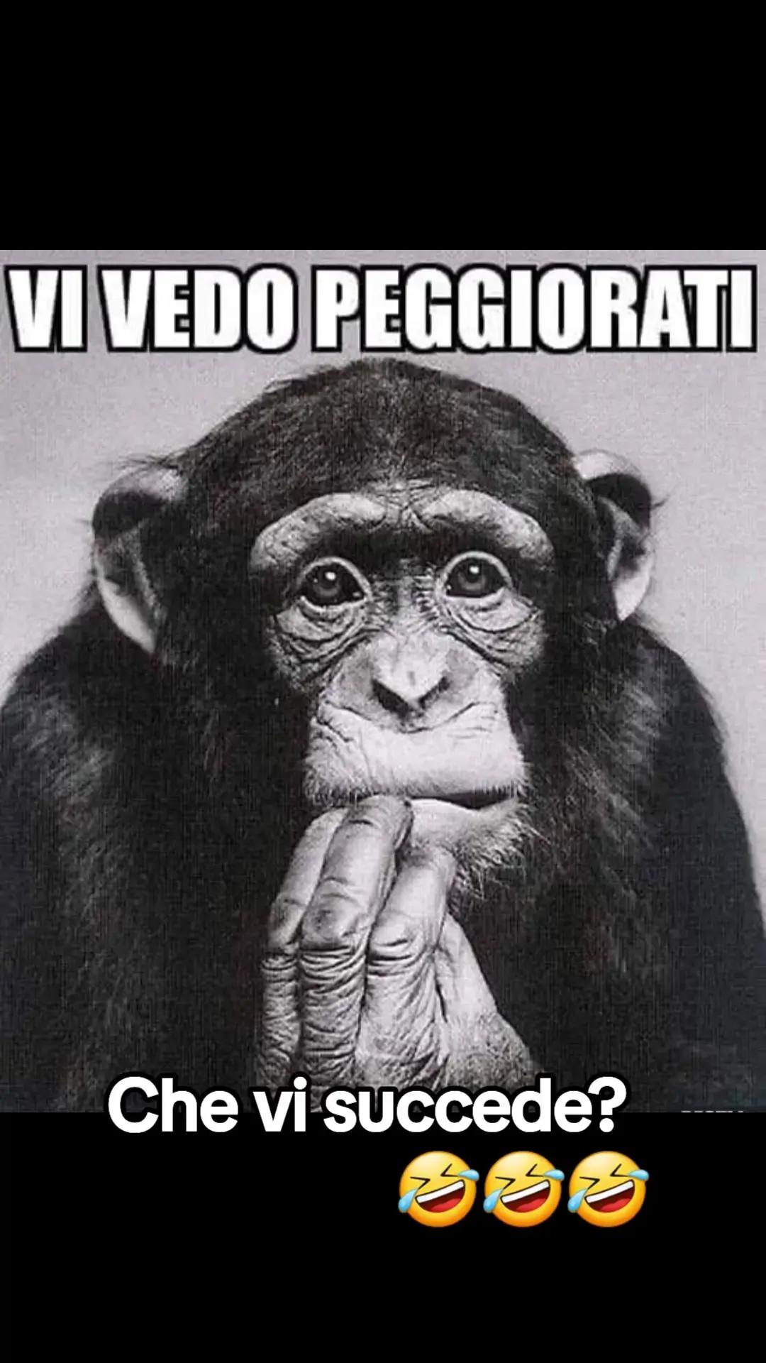 @bambola