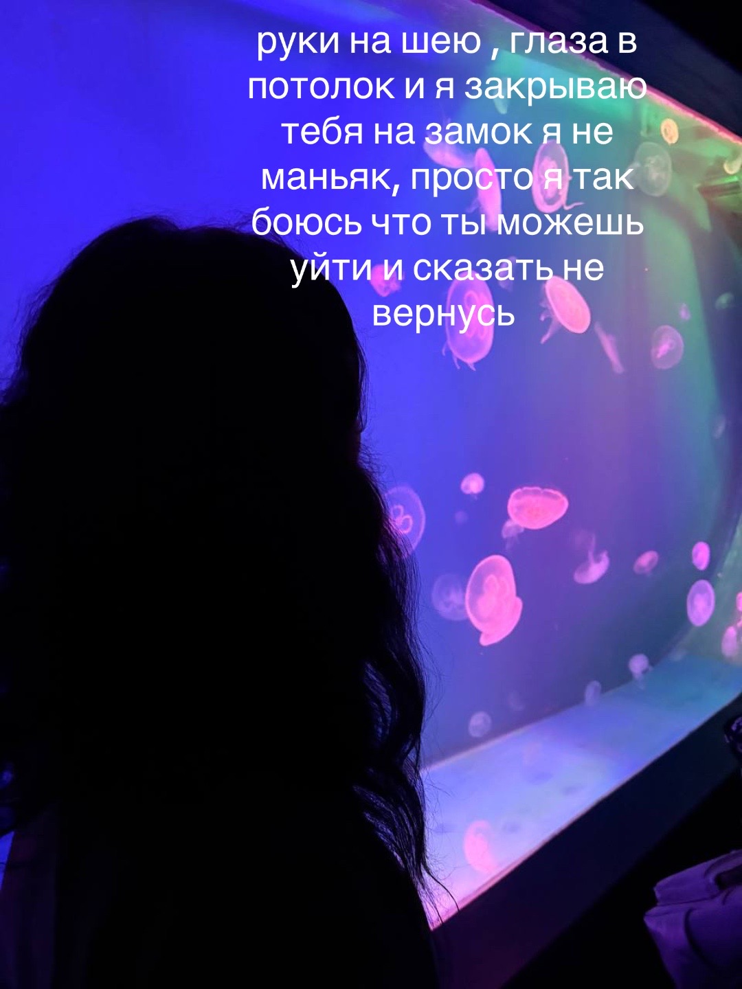 @кошка