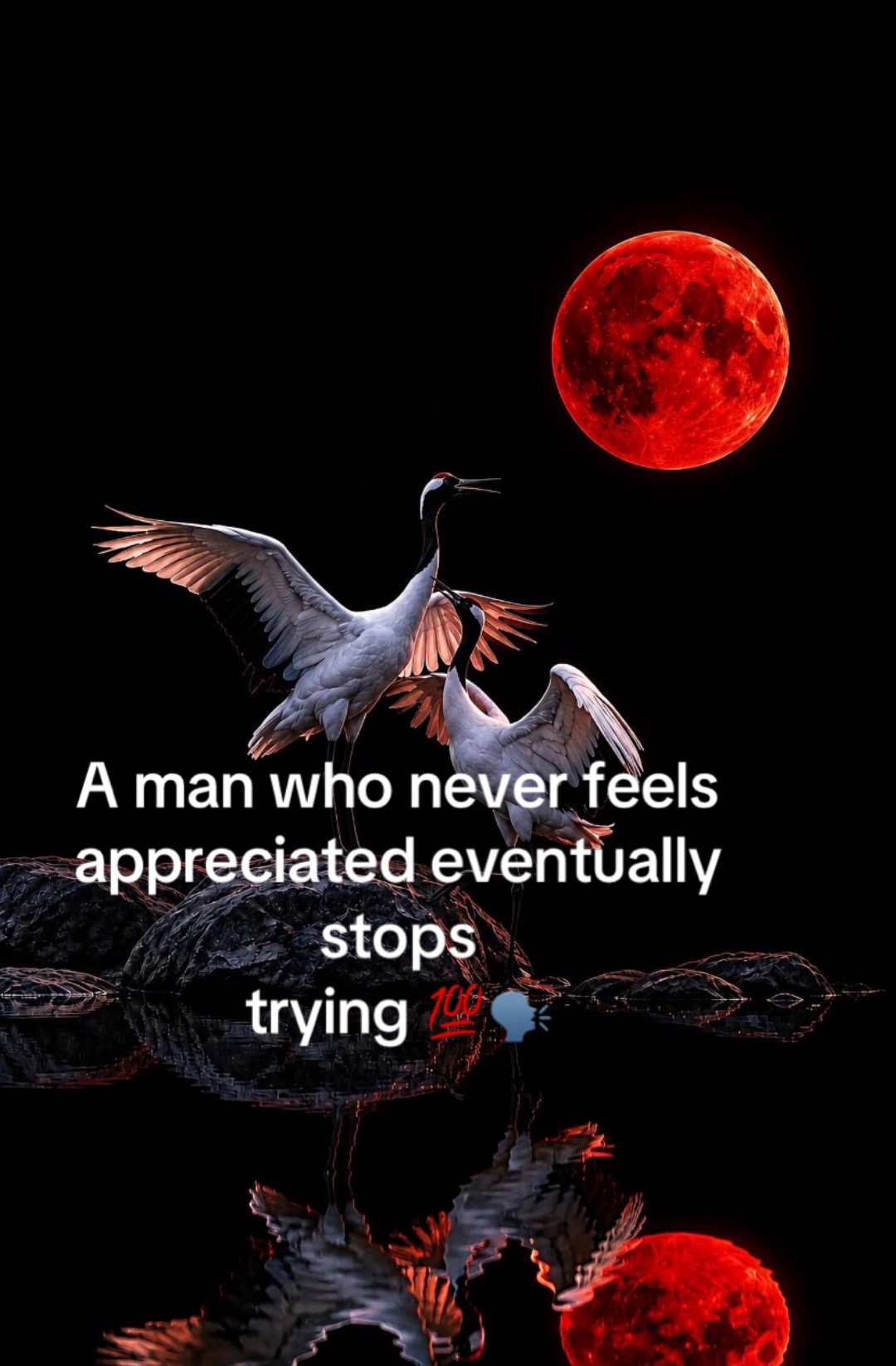 @デ𝙿𝚘𝚗𝚌𝚎𝙷𝚘𝚕𝚕𝚢𝚆𝚘𝚘𝚍
