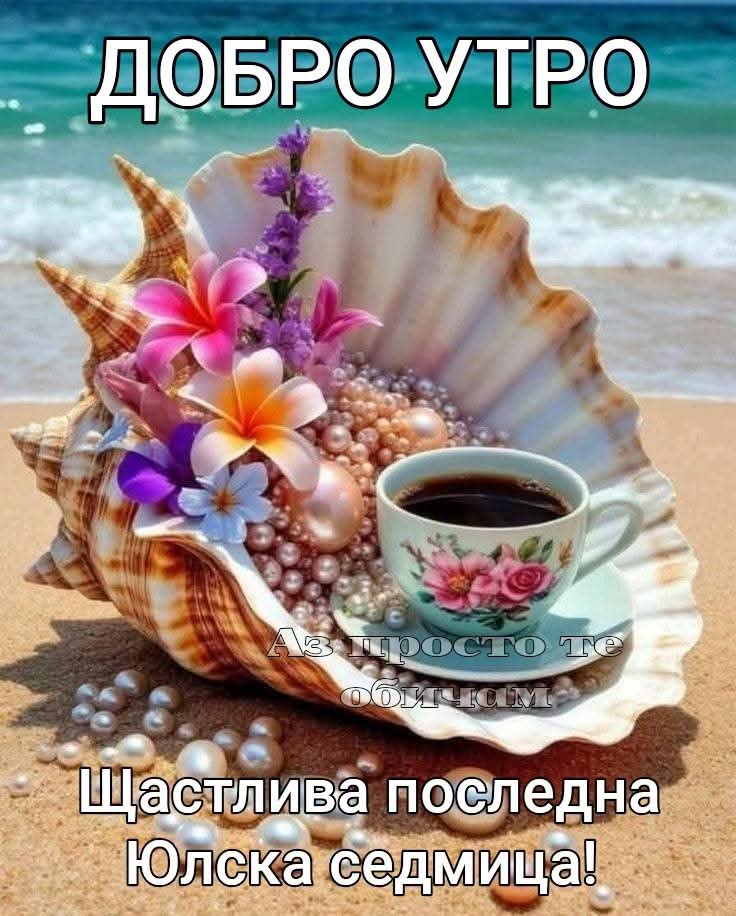 @Ивелина Недкова