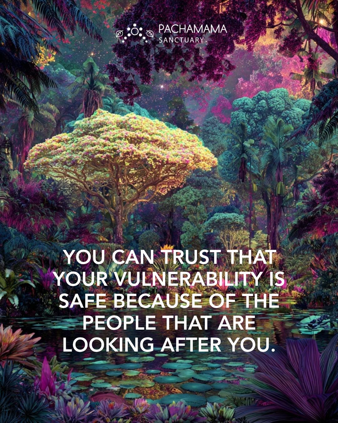 @Pachamama Ayahuasca Sanctuary