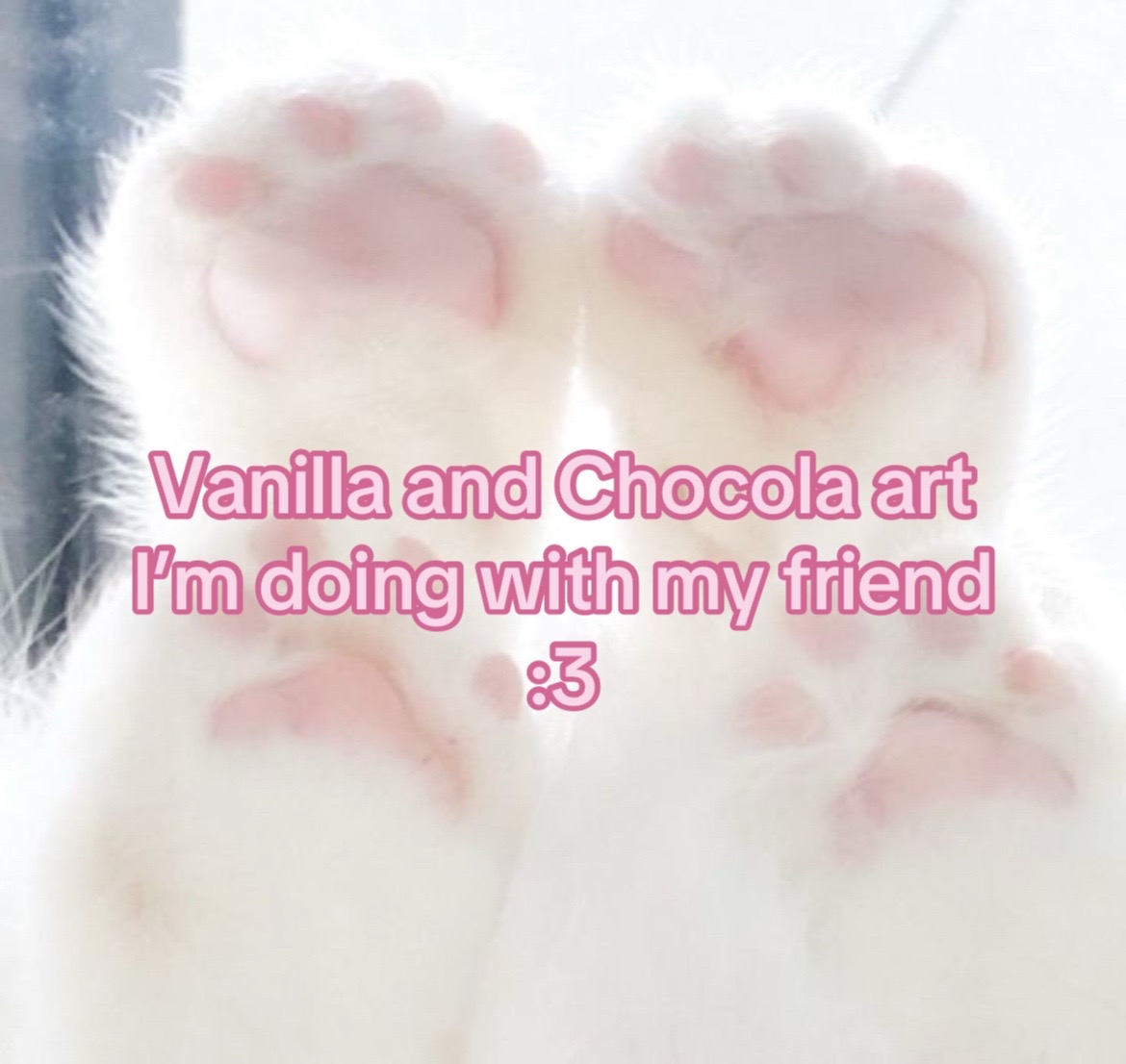 @Ciel