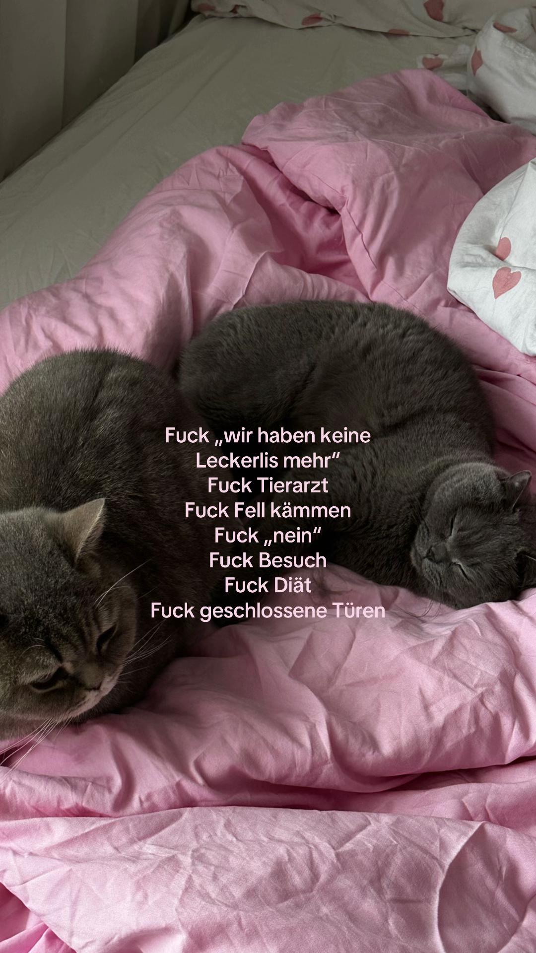 @tugce