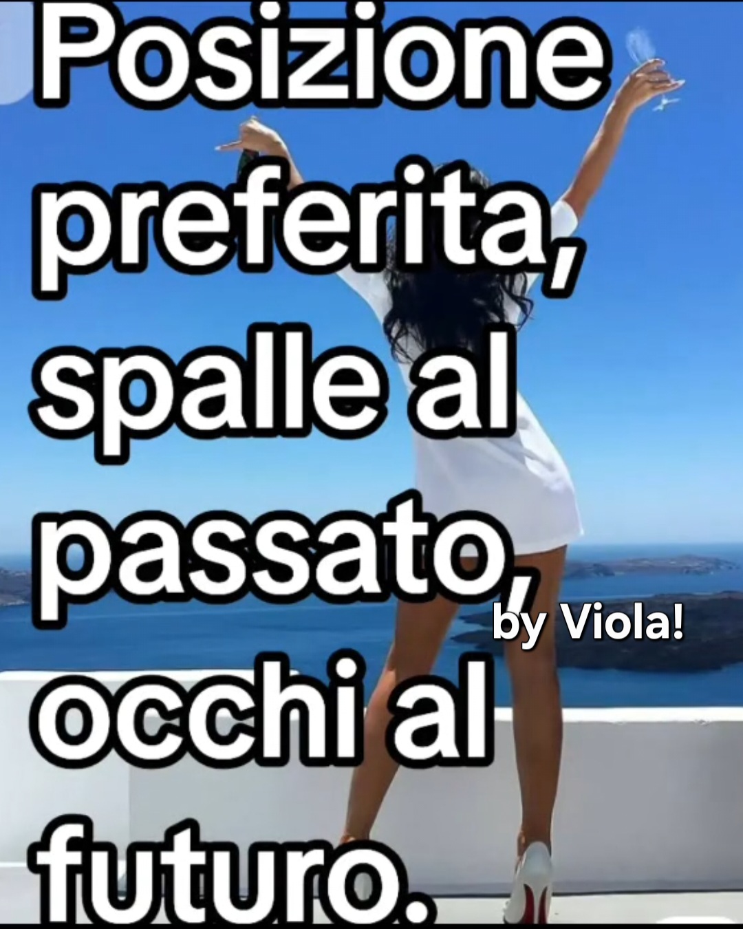 @Viola 8080