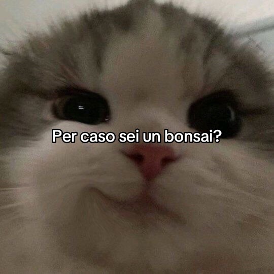 @REPOST ๐