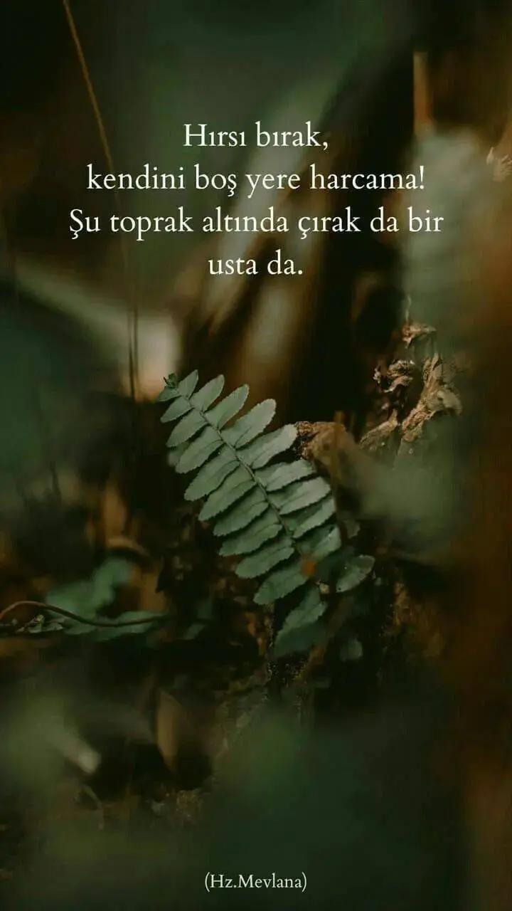 @Yorgun_01