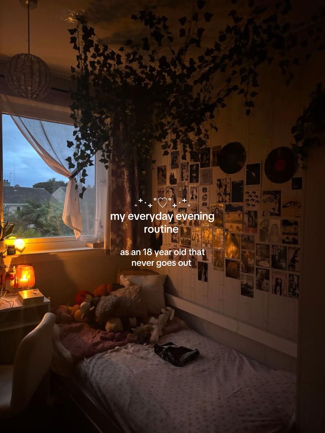 @𐙚⋆°🦢。⋆♡