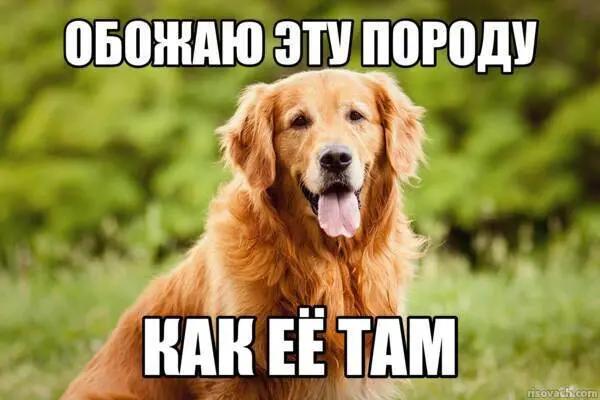@ㅤ