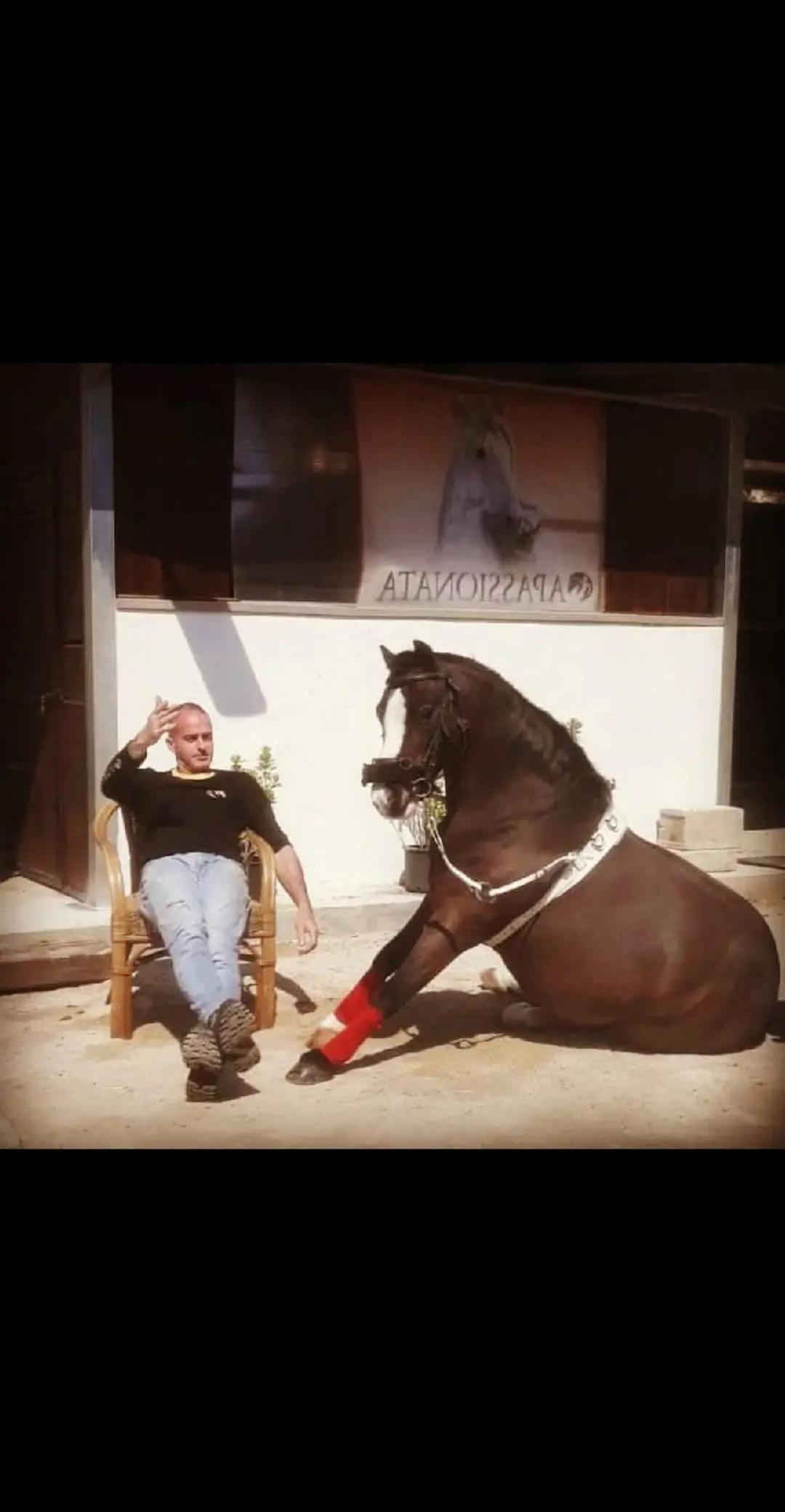 @pony show 🇮🇹🥇