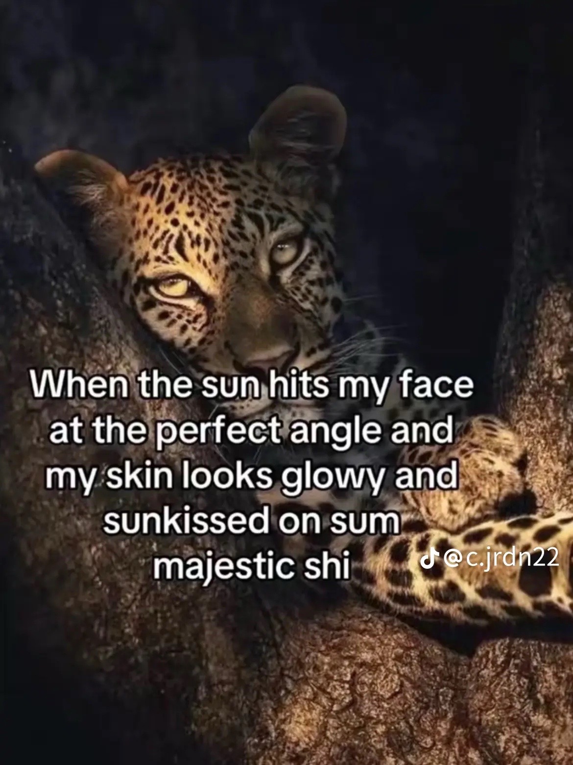 @k.2spammy