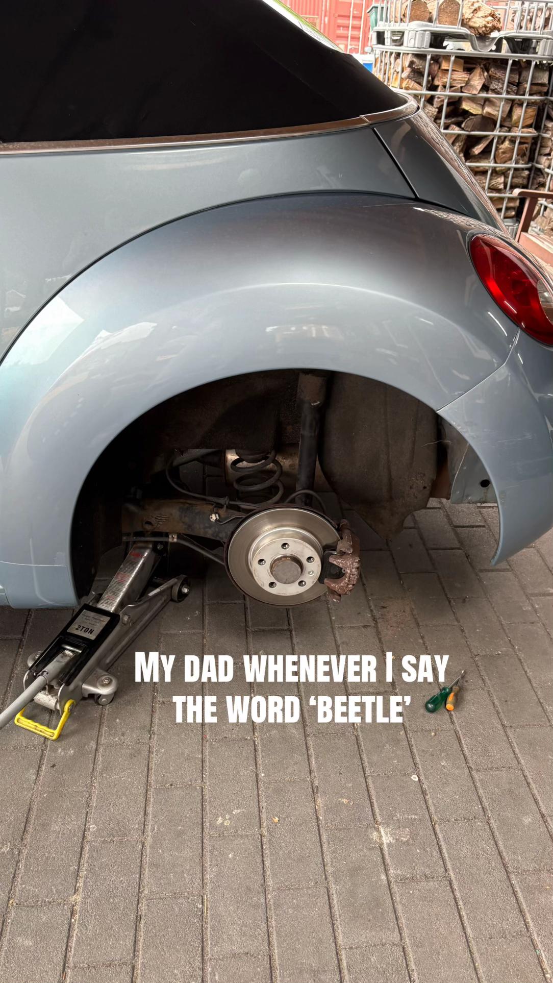 @Bella Beetle