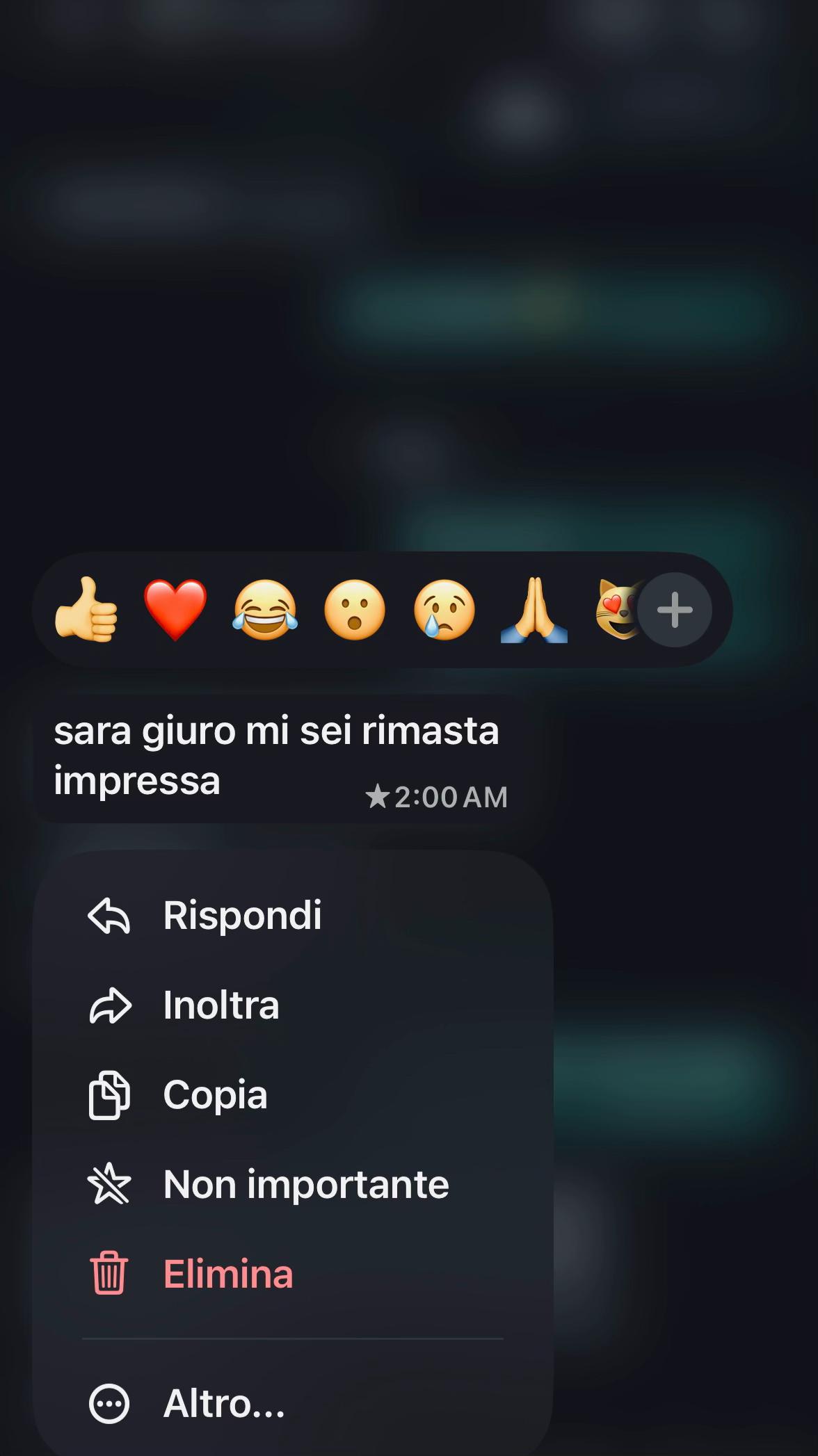 @not.saarita