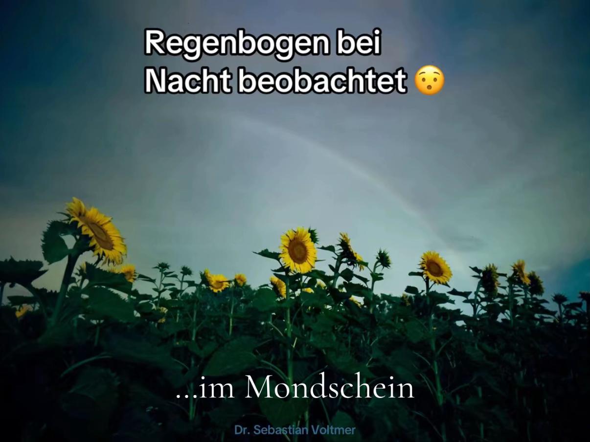 @Dr. Sebastian Voltmer ✨
