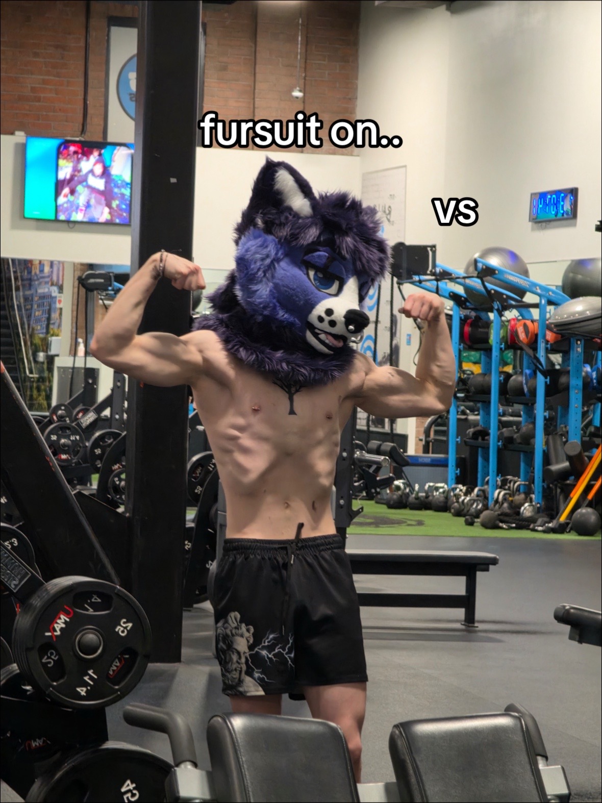 @🐾 Xeno 👾