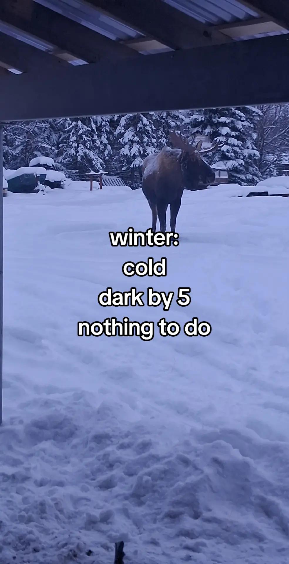 @907.carter